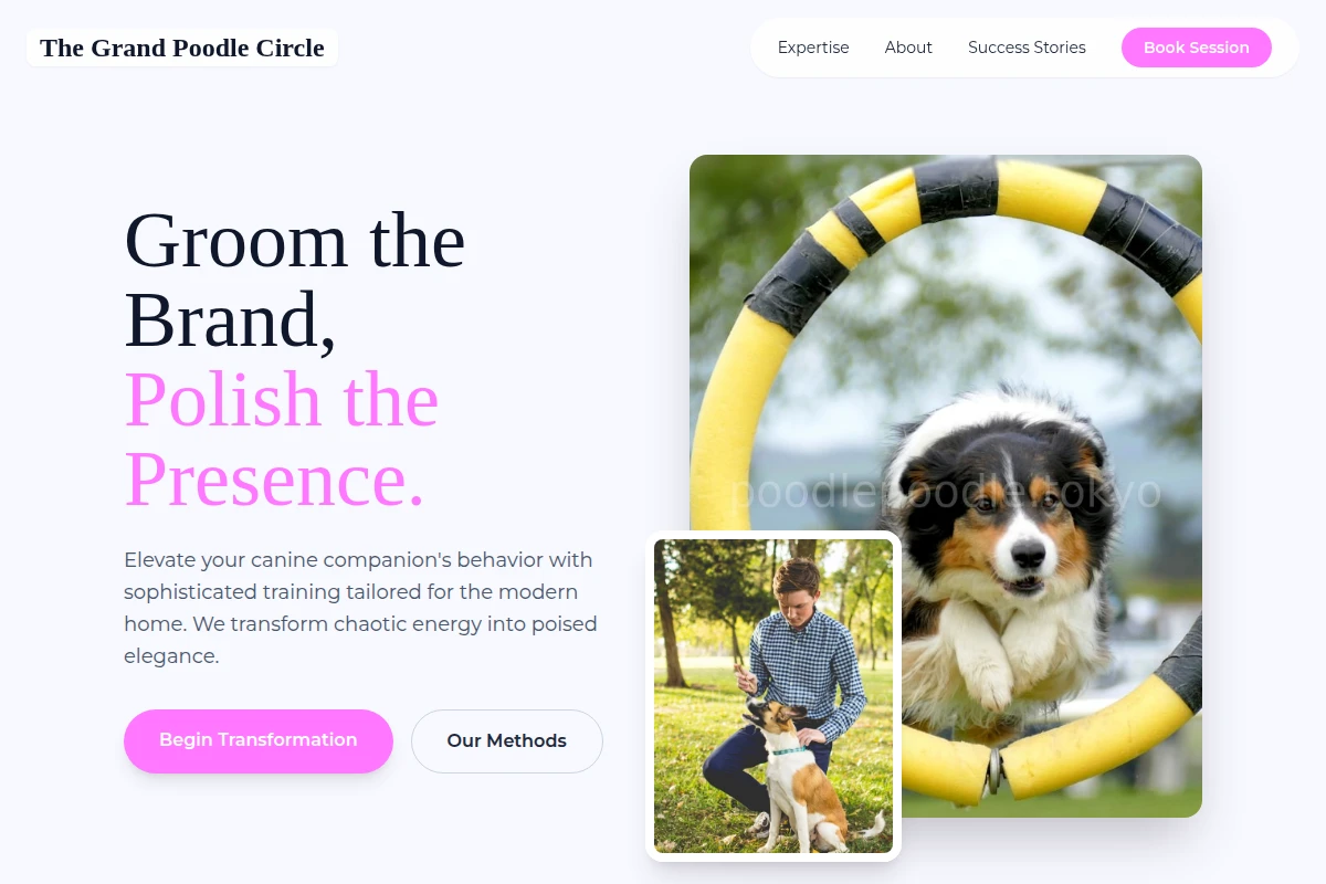 Polished Dog Training
