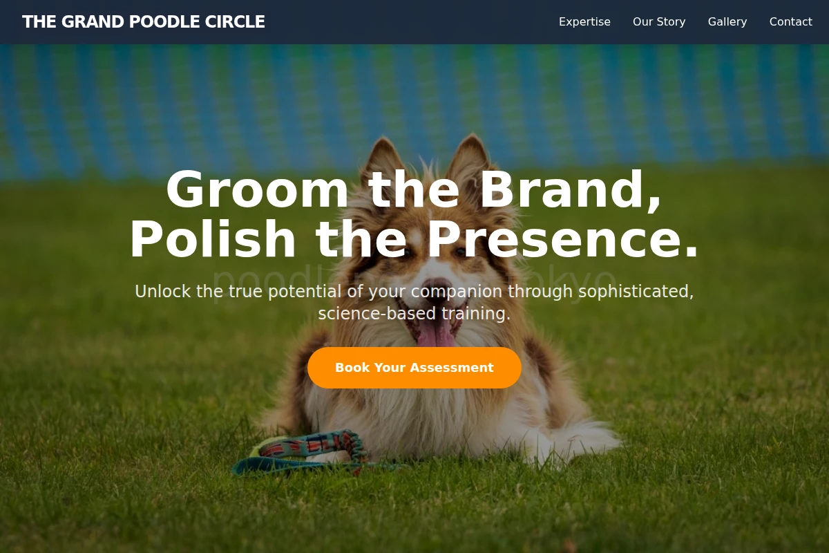 Poodle Dog Training