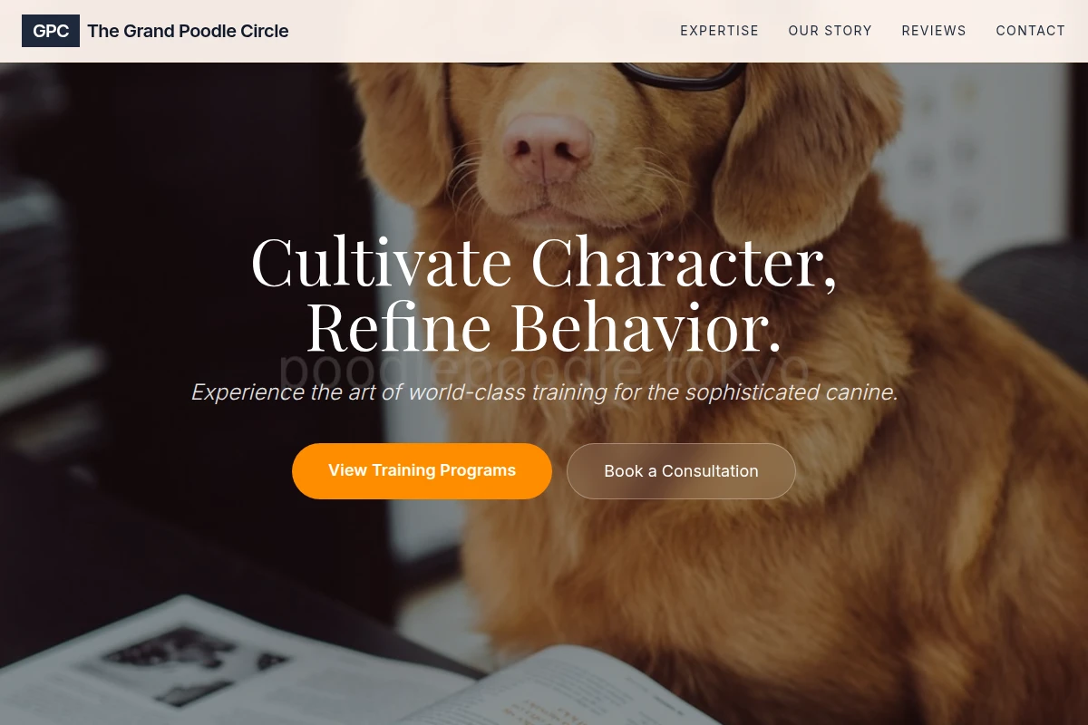Poodle Dog Training