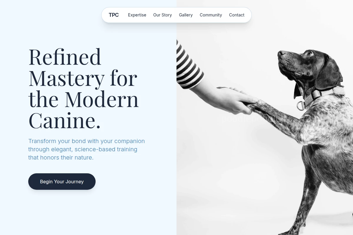 Aesthetic Dog Training