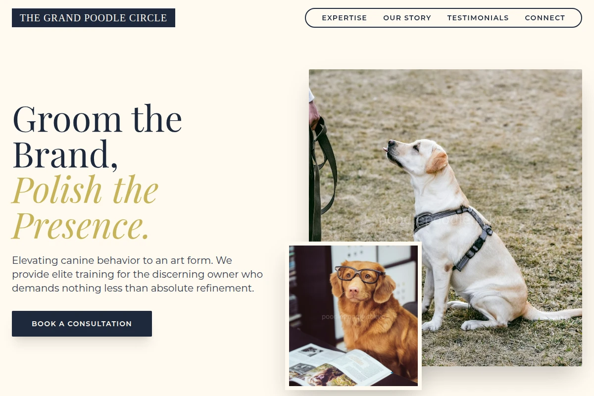 Sophisticated Dog Training