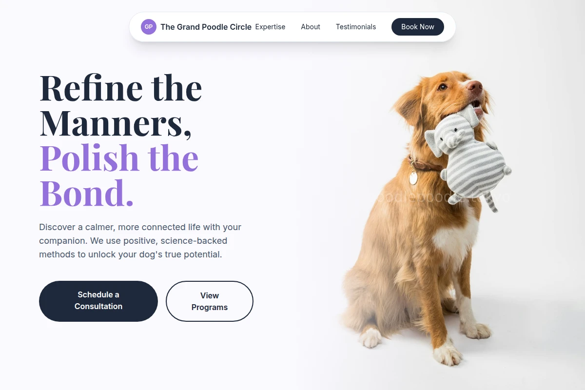 Studio Dog Training