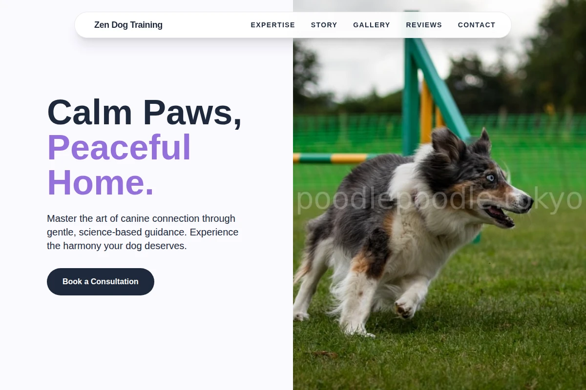 Zen Dog Training