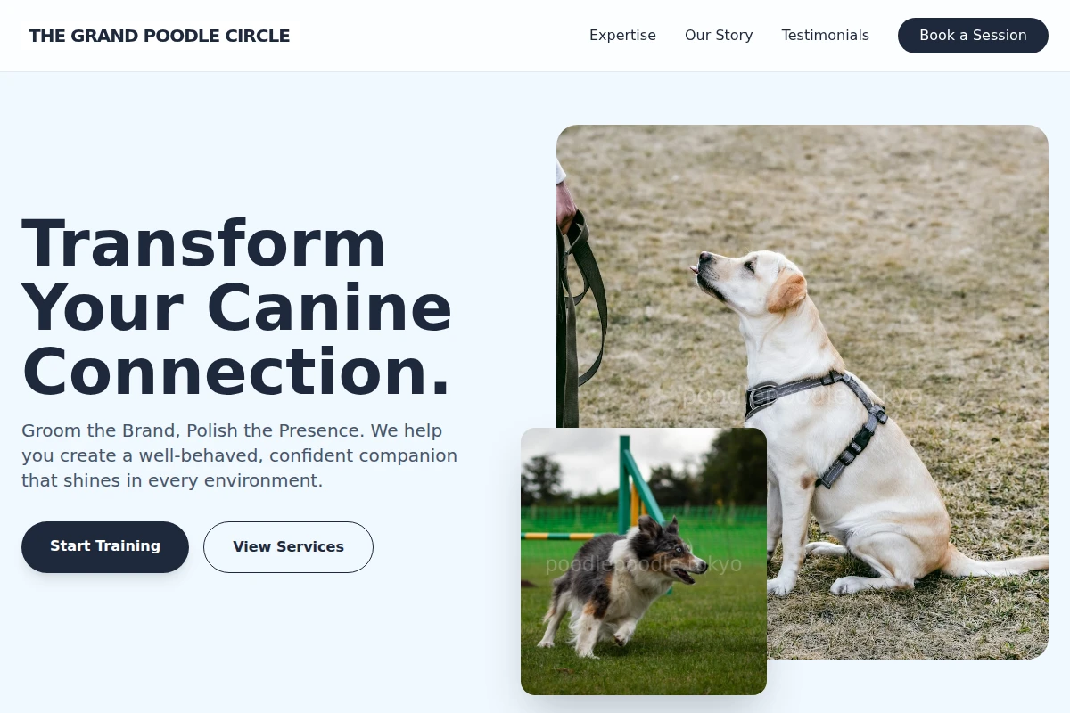 Pampered Dog Training