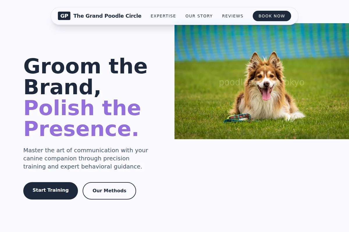 Precision Dog Training