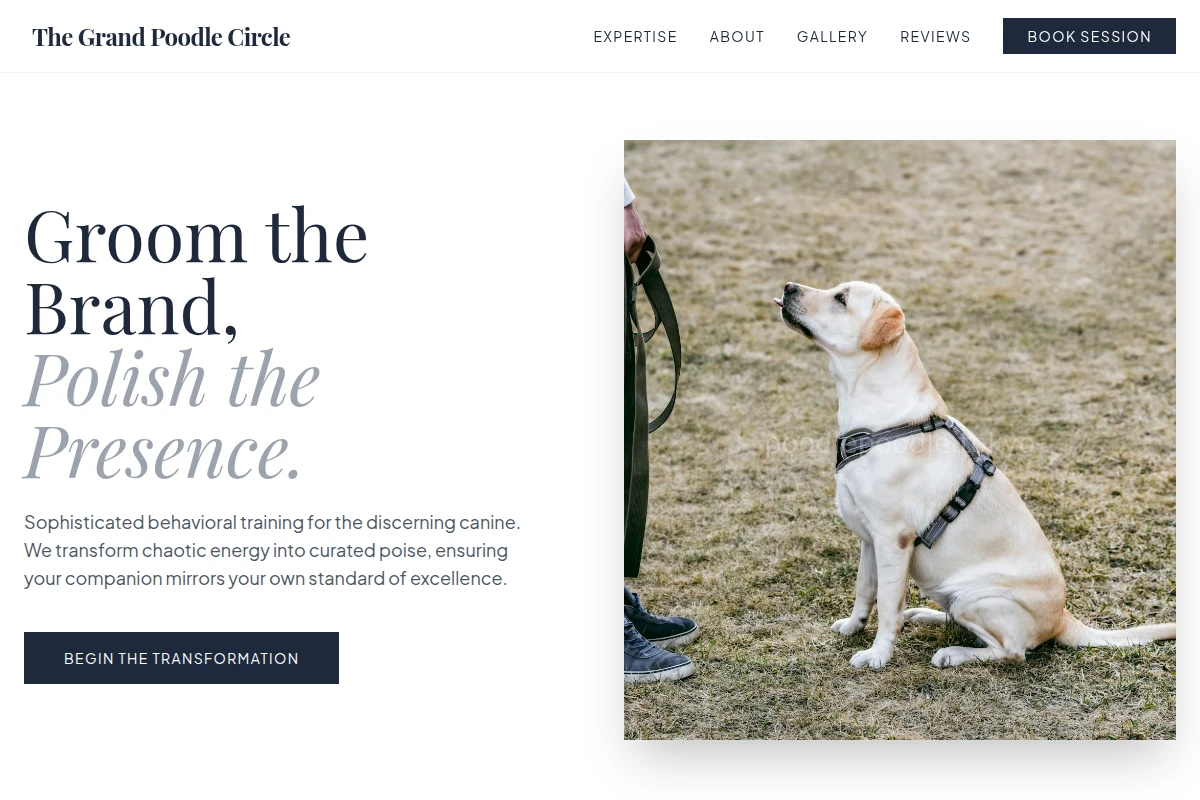 Glossy Dog Training