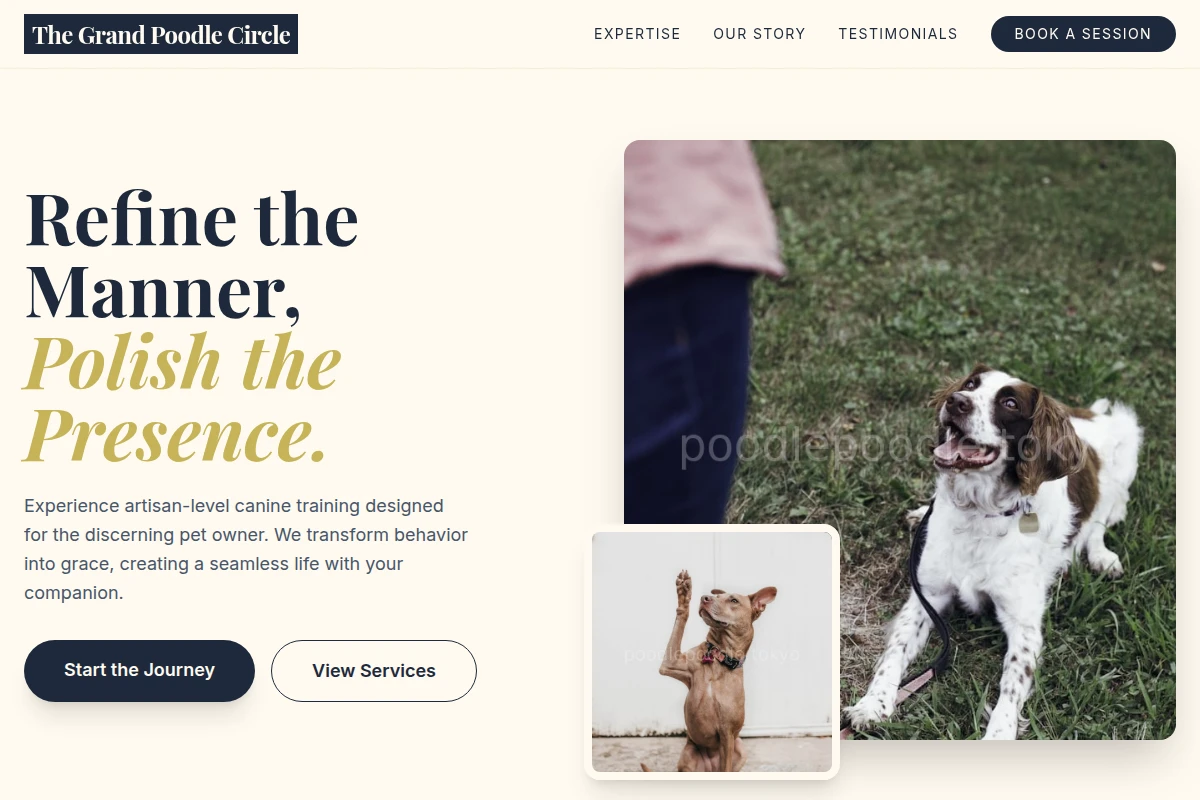 Artisan Dog Training