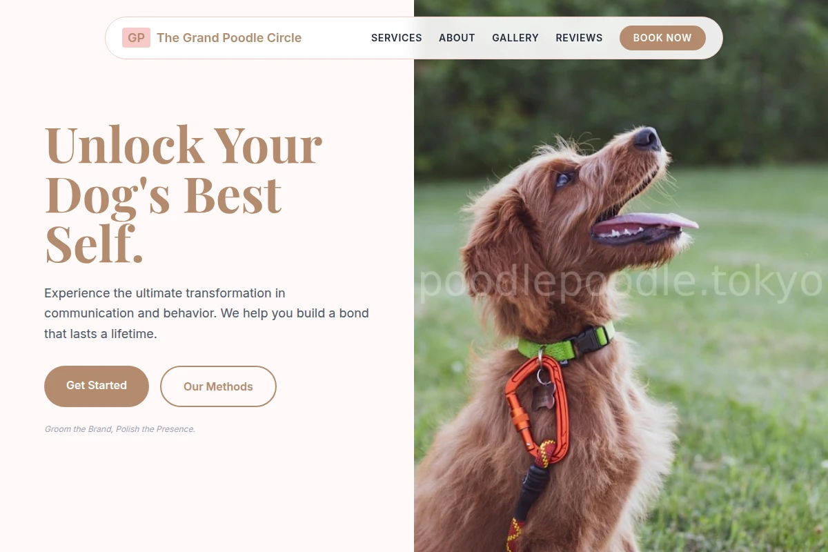 dog-training