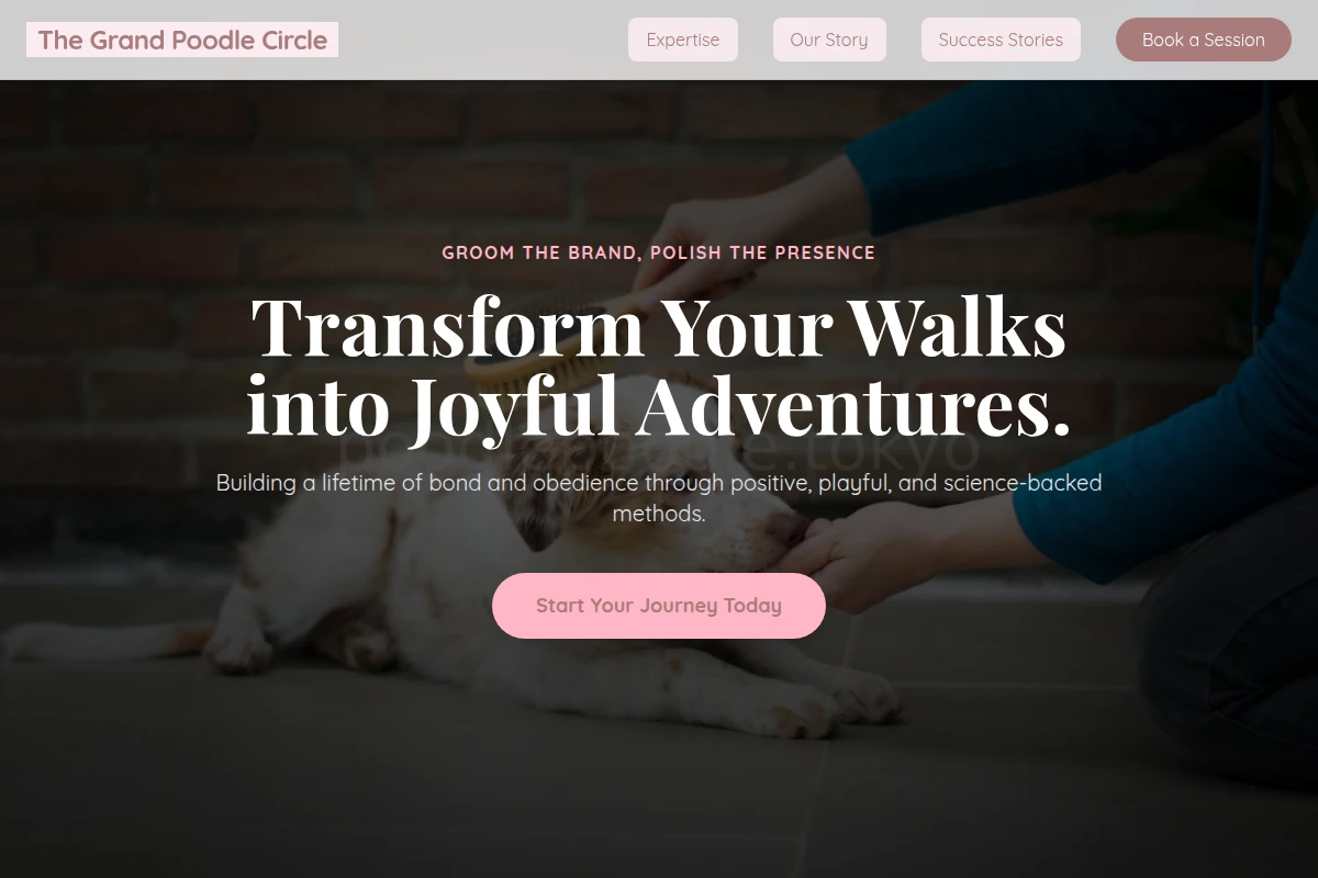 Playful Dog Training