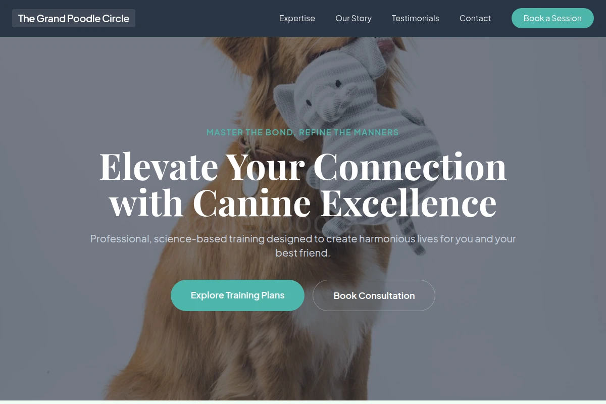 Collar Dog Training