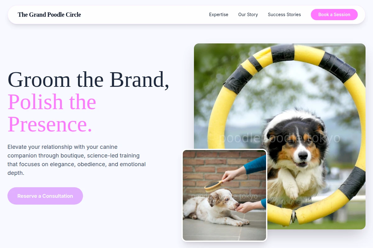 Boutique Dog Training