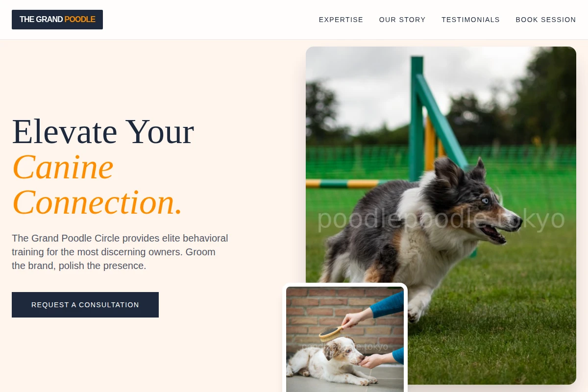 Luxury Dog Training