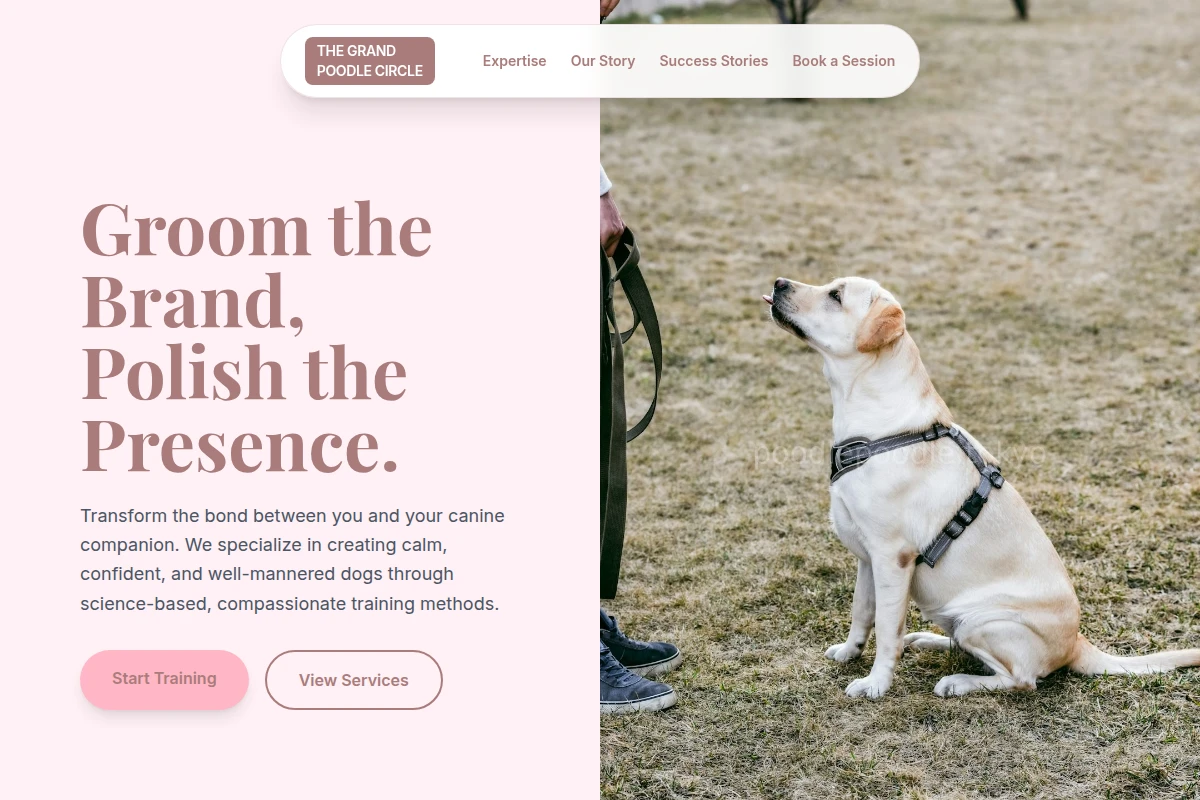 Studio Dog Training