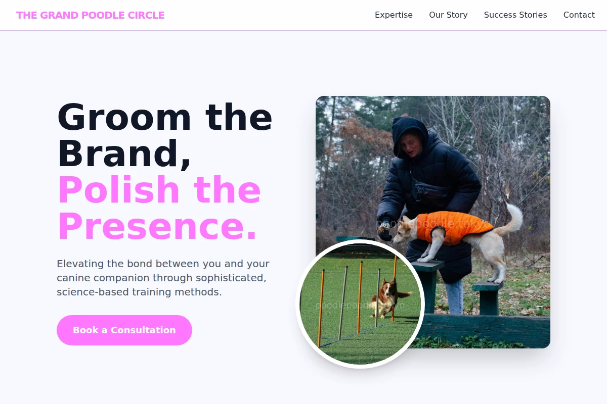 dog-training