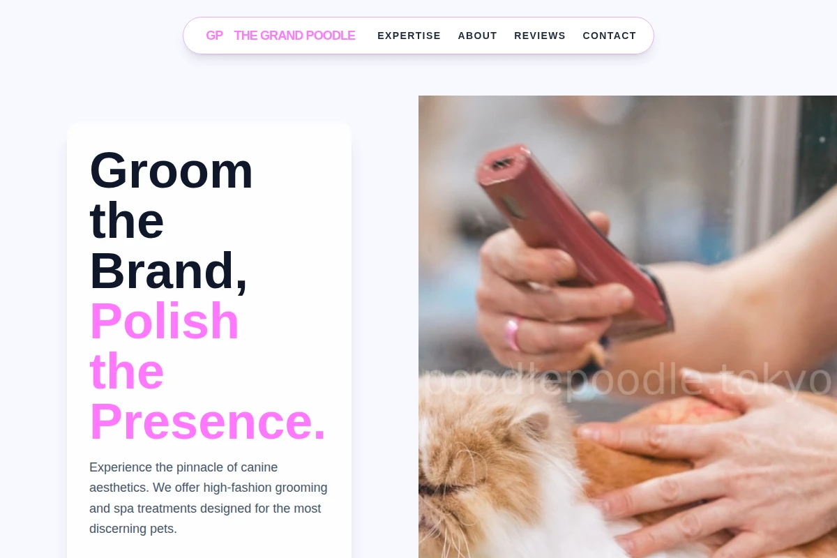 Aesthetic Pet Grooming