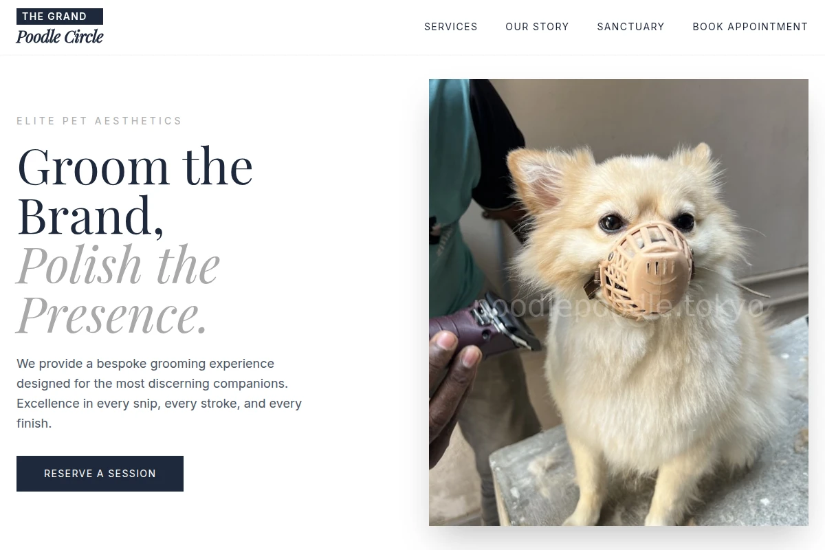 Playful Pet Grooming