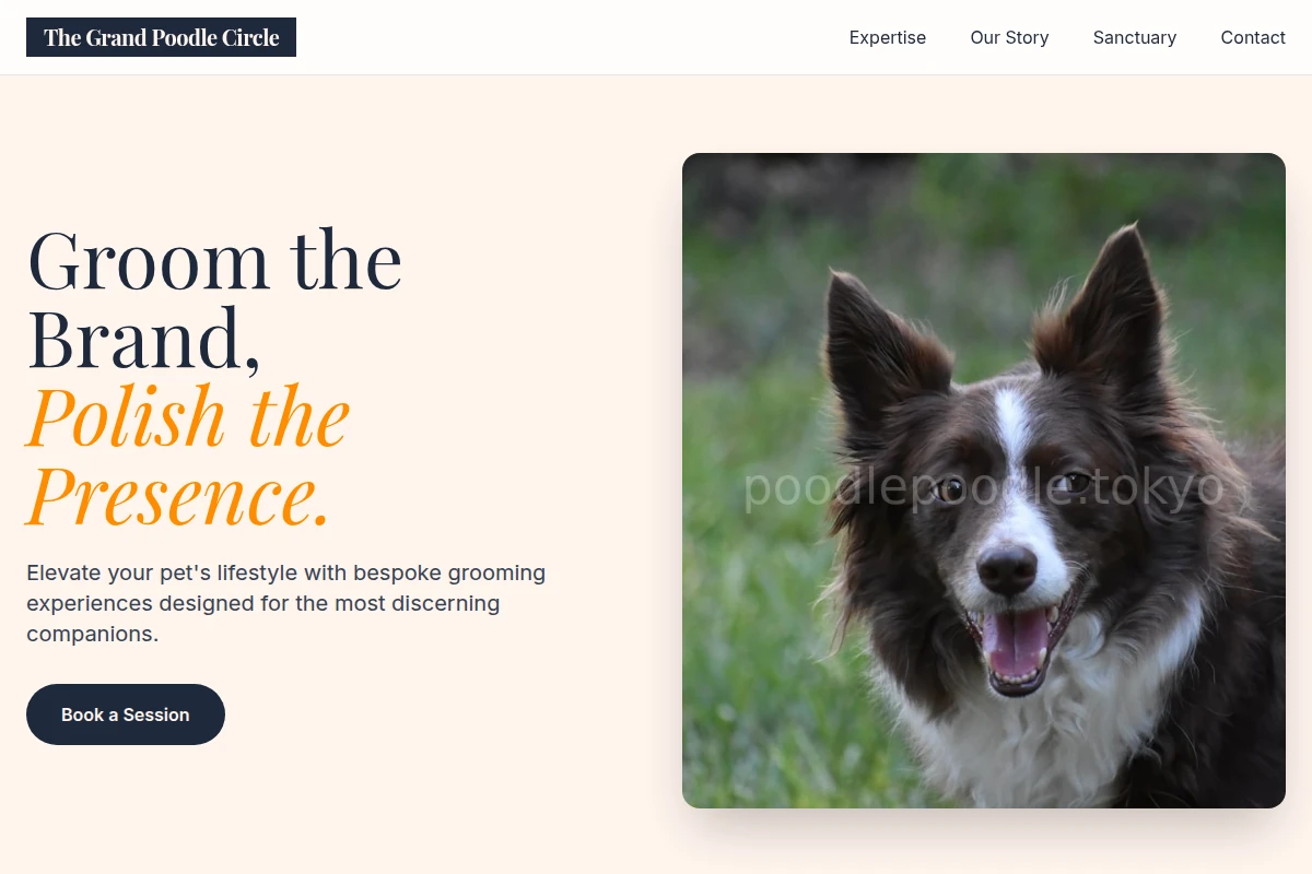 Playful Pet Services